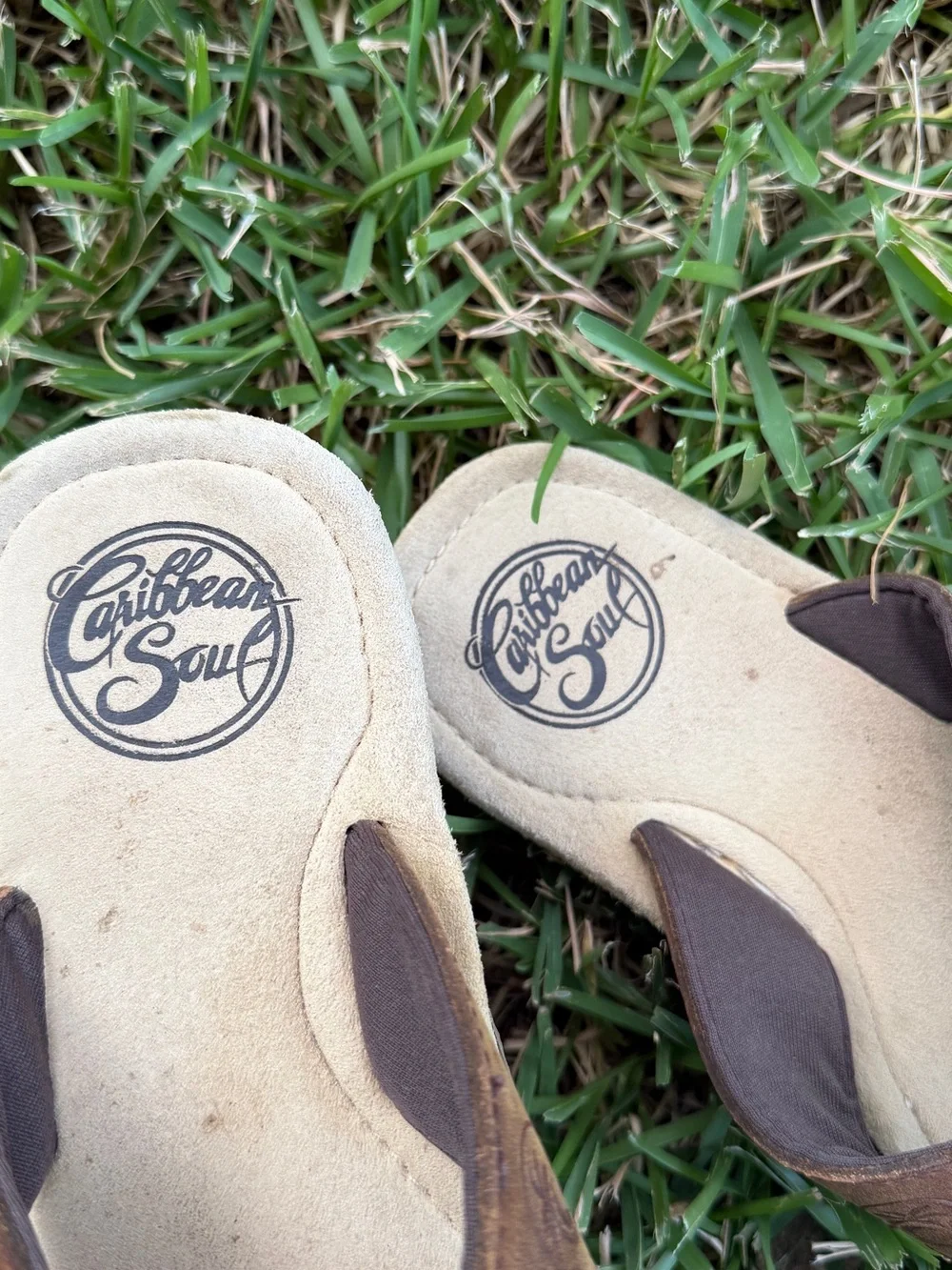 Caribbean Kids Brown and Tan Flip Flop Sandals